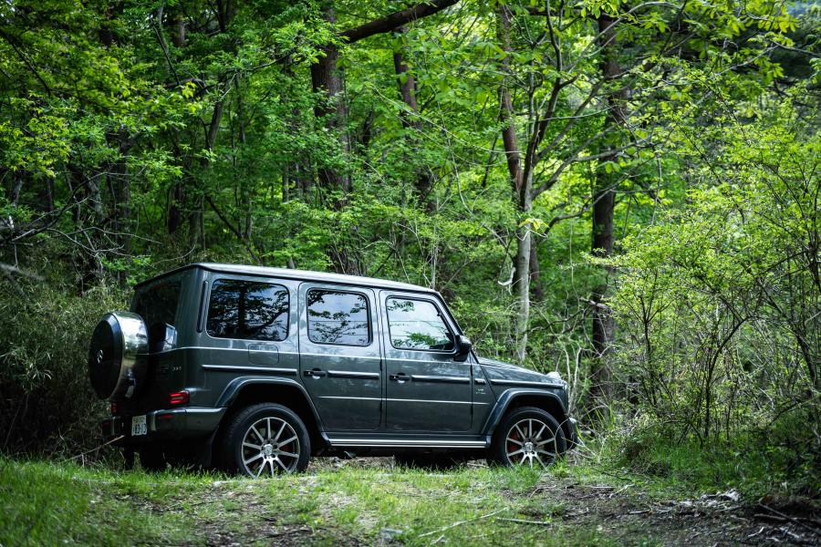  Mercedes-AMG G63 (W463) 2018 года  (JP) (фото 14 из 34)